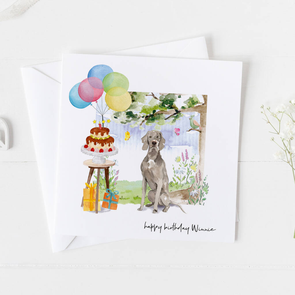 Weimaraner Dog Birthday Card, Pet Card ..7v11b By The Wrapping Paper Shop