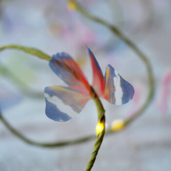 Butterfly Fairy Lights, 5 of 7