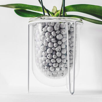 Orla, Glass Planter With Stand, Ideal For Orchids, 2 of 10
