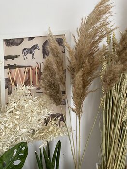 Dried Natural Pampas Grass Bunch, 6 of 6