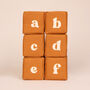 Sensory Baby Alphabet Blocks With Personalised Option, thumbnail 12 of 12