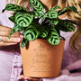 Retirement Gift Terracotta Plant Pot, thumbnail 3 of 4
