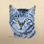 Personalised Pet Portrait In Pastel Pencil, thumbnail 4 of 7