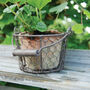 Handmade Terracotta Plant Pot With Hanging Basket Gift, thumbnail 5 of 5