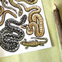 Reptiles Of Britain Watercolour Postcard, thumbnail 10 of 10