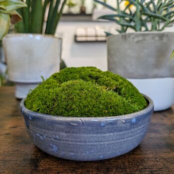 Preserved Moss In A Small Ceramic Handmade Bowl, 7 of 8