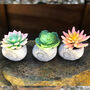 Concrete Shell With Faux Cactus Ornament, thumbnail 5 of 10