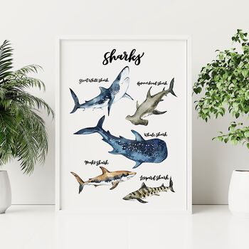 Sharks Watercolour And Calligraphy Print, 4 of 4