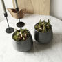 Metallic Black Handmade Plant Pot, thumbnail 3 of 3