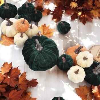 Autumn And Halloween Velvet Pumpkin Set, 3 of 5