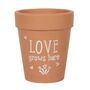 Love Grows Here Terracotta Plant Pot Gift, thumbnail 1 of 3