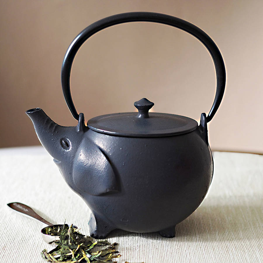 Elly Cast Iron Teapot 600ml By The Exotic Teapot