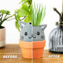 Cat Grow Kit – Grow Pal Plush With Ceramic Plant Pot, thumbnail 4 of 4