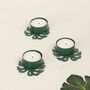G Decor Set Of Three Green Palm Leaf Tea Light Holders, thumbnail 1 of 6