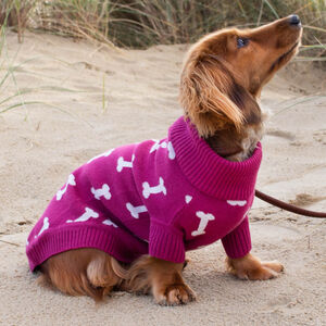 dog jumper pink