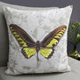Chartreuse Butterfly Floral Print Cushion, thumbnail 1 of 2
