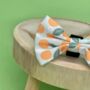 Dog Bow Tie | Oranges And Blossoms, thumbnail 2 of 5