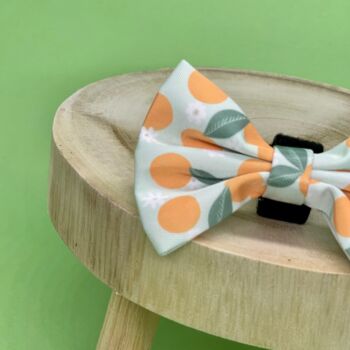 Dog Bow Tie | Oranges And Blossoms, 2 of 5