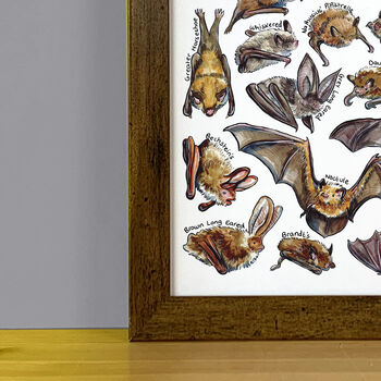 Bats Of Britain Wildlife Print, 7 of 8