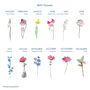 Personalised Birthday Birth Flower Coaster Set, thumbnail 2 of 4