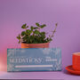 Personalised Tea Garden Seedsticks® Gift Pack, thumbnail 3 of 6
