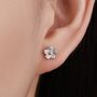 Forget Me Not Flower Stud Earrings Sterling Silver, thumbnail 1 of 9