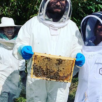 Beekeeping Experience In Rural Hertfordshire, 4 of 4