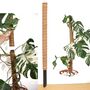 Extendable Moss Pole For Climbing Plants 60 80 110cm, thumbnail 1 of 12