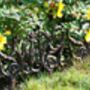 Ornate Cast Iron Garden Lawn Edging Panel 31 X 30cm, thumbnail 5 of 6