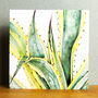 Agave Greetings Card, thumbnail 5 of 5