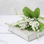 Bouquet Of Lily Of The Valley, thumbnail 3 of 7