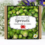 Gardening Gift. Sprouts Veg Growing Kit, thumbnail 1 of 6