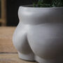 Nude Booty Pots, thumbnail 7 of 10