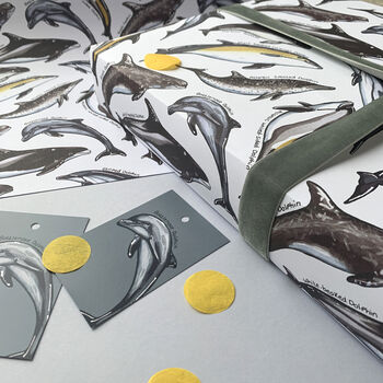 Dolphin Species Wrapping Paper Set, 7 of 10