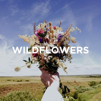 Reed Diffuser Bergamot + Wild Flowers, 6 of 7