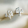 Sterling Silver Tree Stud Earrings, thumbnail 3 of 6