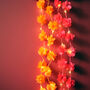 Diwali Marigold Fairy Lights, thumbnail 1 of 6