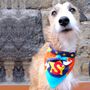 Personalised Superhero Dog Bandana Collar, thumbnail 2 of 12