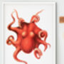 Framed Red Octopus Print, thumbnail 2 of 2