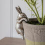 Silver Hare Pot Hanger Decoration, thumbnail 1 of 2