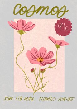 Cosmos | Gardening Seed Packet Print, 2 of 2