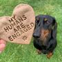 'My Humans Are Engaged' Dog Biscuits Engagement Gift, thumbnail 1 of 7