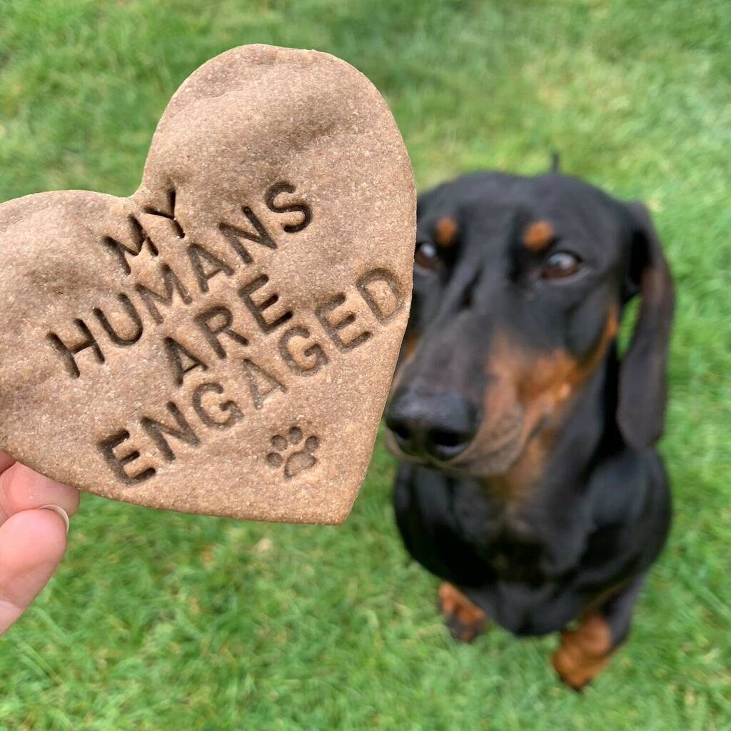 'My Humans Are Engaged' Dog Biscuits Engagement Gift, 1 of 7