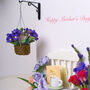 Mother's Day Hanging Garden, thumbnail 5 of 7