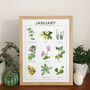 Birthday Month Print, Plant And Wildflower Wall Art, thumbnail 1 of 11
