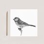 Electra The Bluetit Luxury Blank Greeting Card, thumbnail 3 of 4