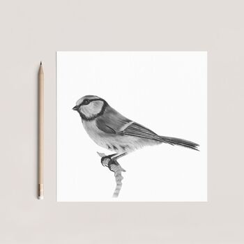 Electra The Bluetit Luxury Blank Greeting Card, 3 of 4