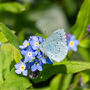 Happy Christmas Wildflower Seeds For Bees Stocking Fillers, thumbnail 9 of 10