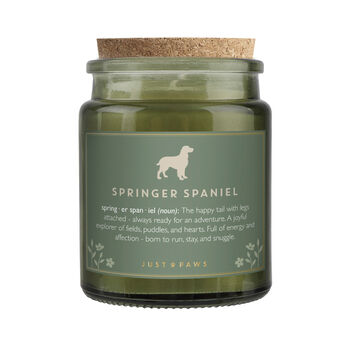 'Springer Spaniel' Definition Large Green Candle • Dog Enthusiast • Just Paws • Gift Box, 3 of 4