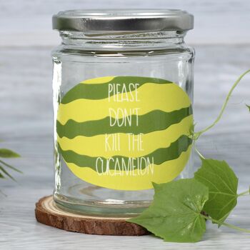 Personalised 'Don't Kill Me' Mini Melons Jar Grow Kit, 5 of 7
